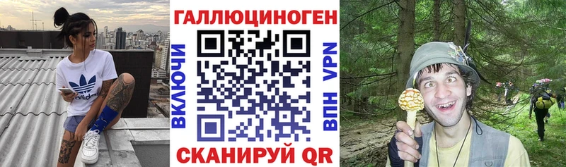хочу   Светлоград  Галлюциногенные грибы Psilocybine cubensis 