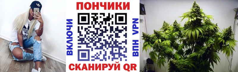 ОМГ ОМГ ТОР  Светлоград  Шишки марихуана MAZAR 
